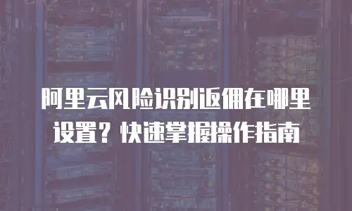 阿里云风险识别返佣在哪里设置？快速掌握操作指南