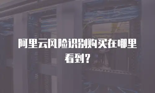 阿里云风险识别购买在哪里看到？