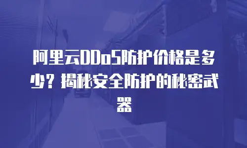阿里云DDoS防护价格是多少？揭秘安全防护的秘密武器