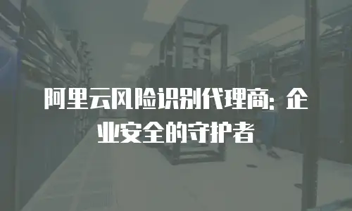 阿里云风险识别代理商: 企业安全的守护者