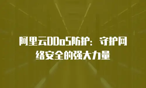 阿里云DDoS防护：守护网络安全的强大力量