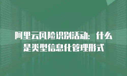 阿里云风险识别活动：什么是类型信息化管理形式