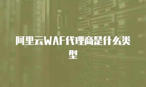 阿里云WAF代理商是什么类型