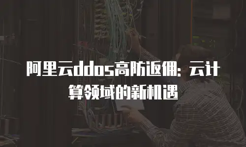 阿里云ddos高防返佣: 云计算领域的新机遇