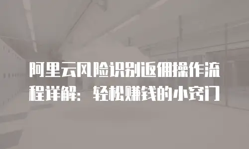阿里云风险识别返佣操作流程详解：轻松赚钱的小窍门