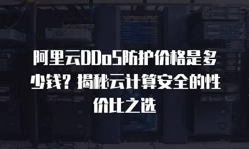 阿里云DDoS防护价格是多少钱？揭秘云计算安全的性价比之选