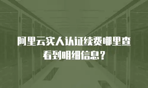 阿里云实人认证续费哪里查看到明细信息？