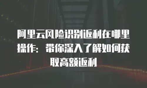 阿里云风险识别返利在哪里操作：带你深入了解如何获取高额返利