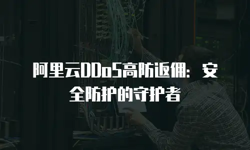 阿里云DDoS高防返佣：安全防护的守护者