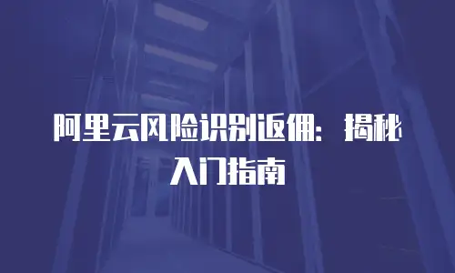 阿里云风险识别返佣：揭秘入门指南