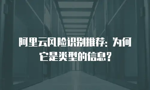 阿里云风险识别推荐: 为何它是类型的信息?