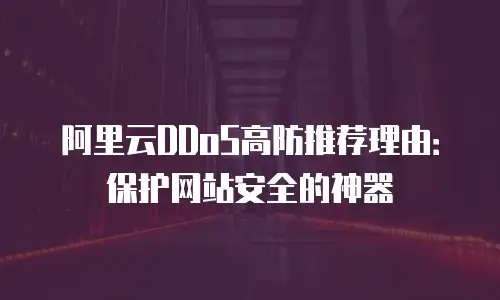 阿里云DDoS高防推荐理由：保护网站安全的神器