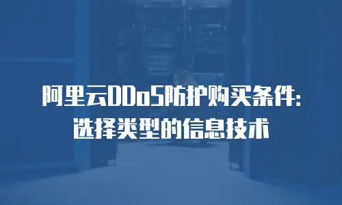 阿里云DDoS防护购买条件：选择类型的信息技术
