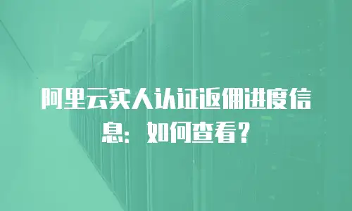 阿里云实人认证返佣进度信息：如何查看？