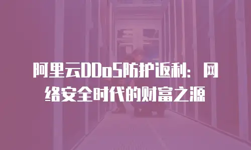 阿里云DDoS防护返利：网络安全时代的财富之源
