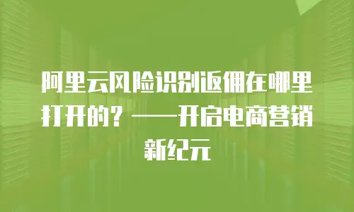 阿里云风险识别返佣在哪里打开的？——开启电商营销新纪元