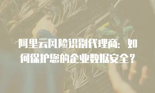 阿里云风险识别代理商：如何保护您的企业数据安全？
