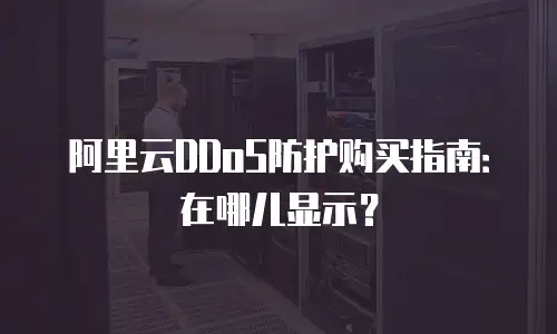 阿里云DDoS防护购买指南：在哪儿显示？