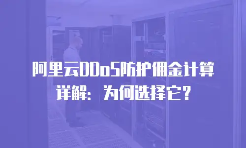 阿里云DDoS防护佣金计算详解：为何选择它？
