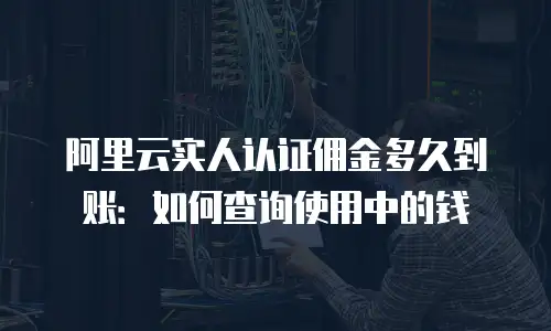 阿里云实人认证佣金多久到账：如何查询使用中的钱