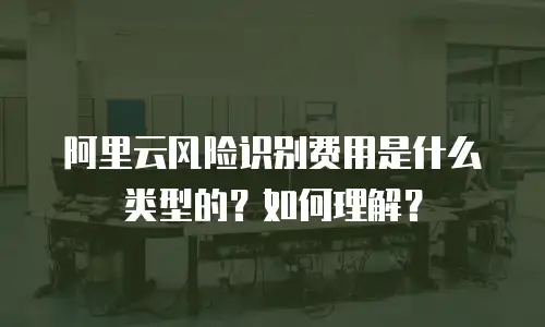 阿里云风险识别费用是什么类型的？如何理解？