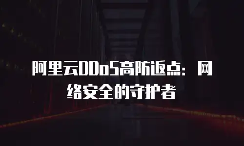 阿里云DDoS高防返点：网络安全的守护者