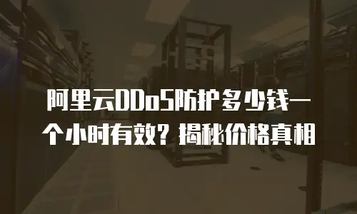 阿里云DDoS防护多少钱一个小时有效？揭秘价格真相