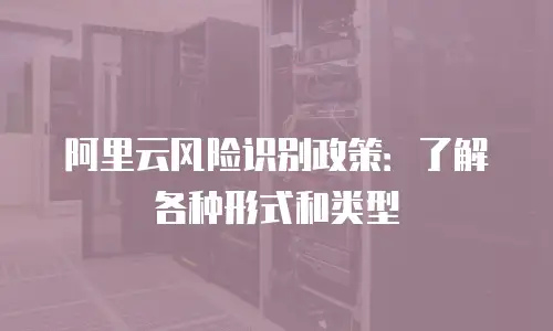 阿里云风险识别政策：了解各种形式和类型