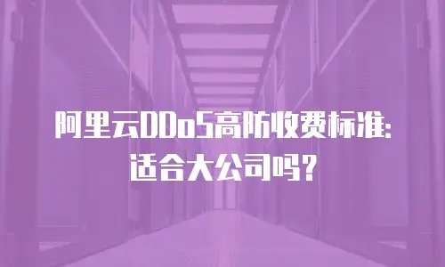 阿里云DDoS高防收费标准：适合大公司吗？