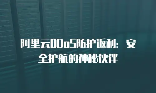 阿里云DDoS防护返利：安全护航的神秘伙伴