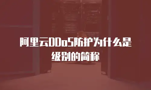 阿里云DDoS防护为什么是级别的简称