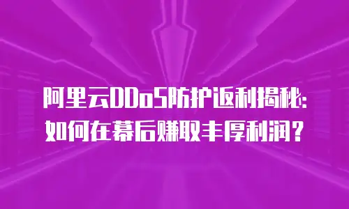阿里云DDoS防护返利揭秘：如何在幕后赚取丰厚利润？