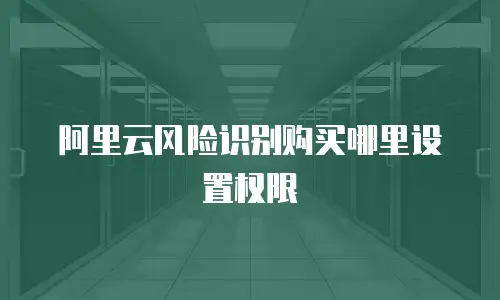阿里云风险识别购买哪里设置权限