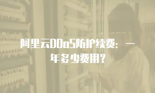 阿里云DDoS防护续费：一年多少费用？
