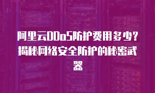 阿里云DDoS防护费用多少？揭秘网络安全防护的秘密武器