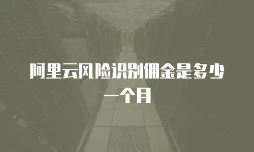 阿里云风险识别佣金是多少一个月
