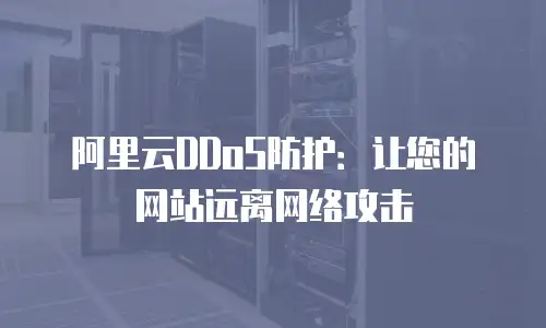 阿里云DDoS防护：让您的网站远离网络攻击