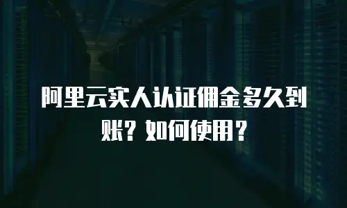 阿里云实人认证佣金多久到账？如何使用？