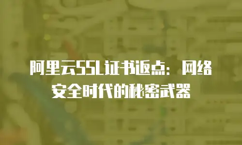 阿里云SSL证书返点：网络安全时代的秘密武器