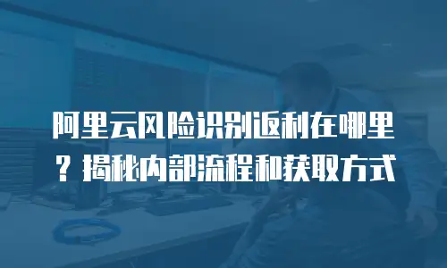 阿里云风险识别返利在哪里？揭秘内部流程和获取方式