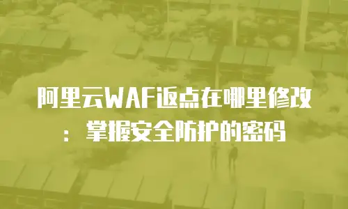 阿里云WAF返点在哪里修改：掌握安全防护的密码