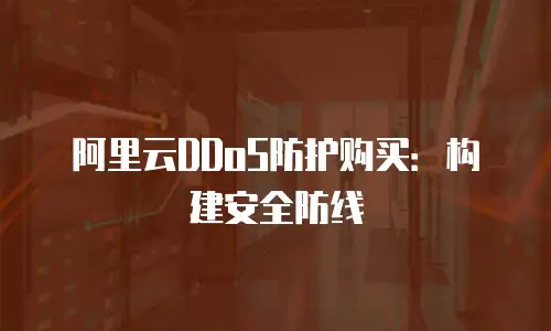 阿里云DDoS防护购买：构建安全防线