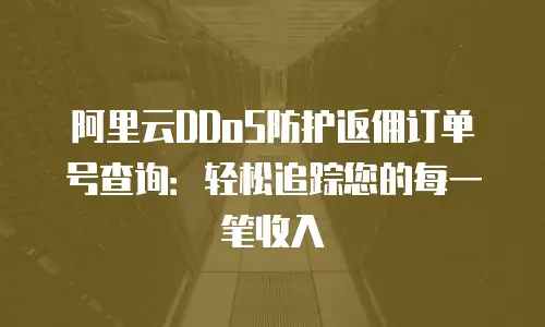 阿里云DDoS防护返佣订单号查询：轻松追踪您的每一笔收入