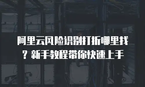 阿里云风险识别打折哪里找？新手教程带你快速上手