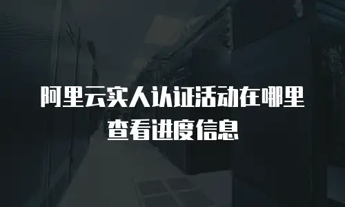 阿里云实人认证活动在哪里查看进度信息
