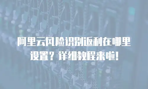 阿里云风险识别返利在哪里设置？详细教程来啦！