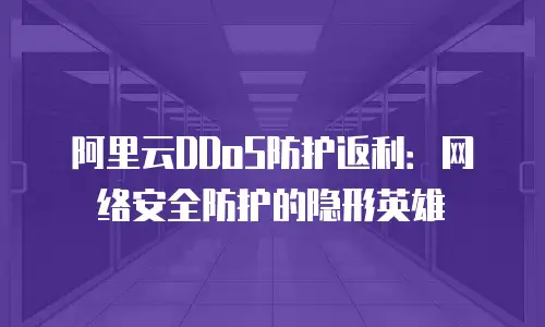 阿里云DDoS防护返利：网络安全防护的隐形英雄