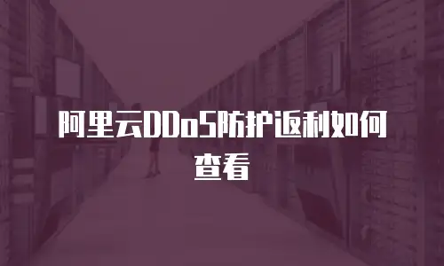 阿里云DDoS防护返利如何查看