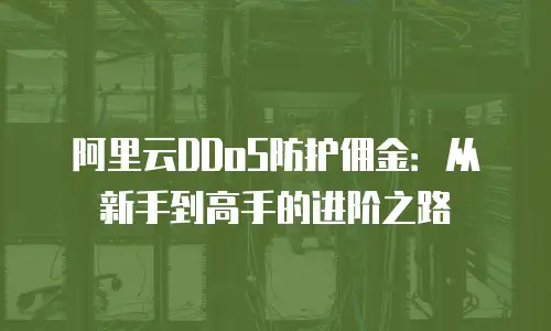 阿里云DDoS防护佣金：从新手到高手的进阶之路
