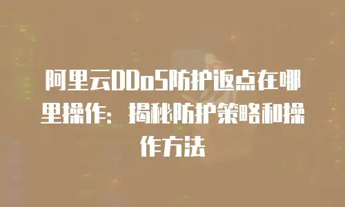 阿里云DDoS防护返点在哪里操作：揭秘防护策略和操作方法